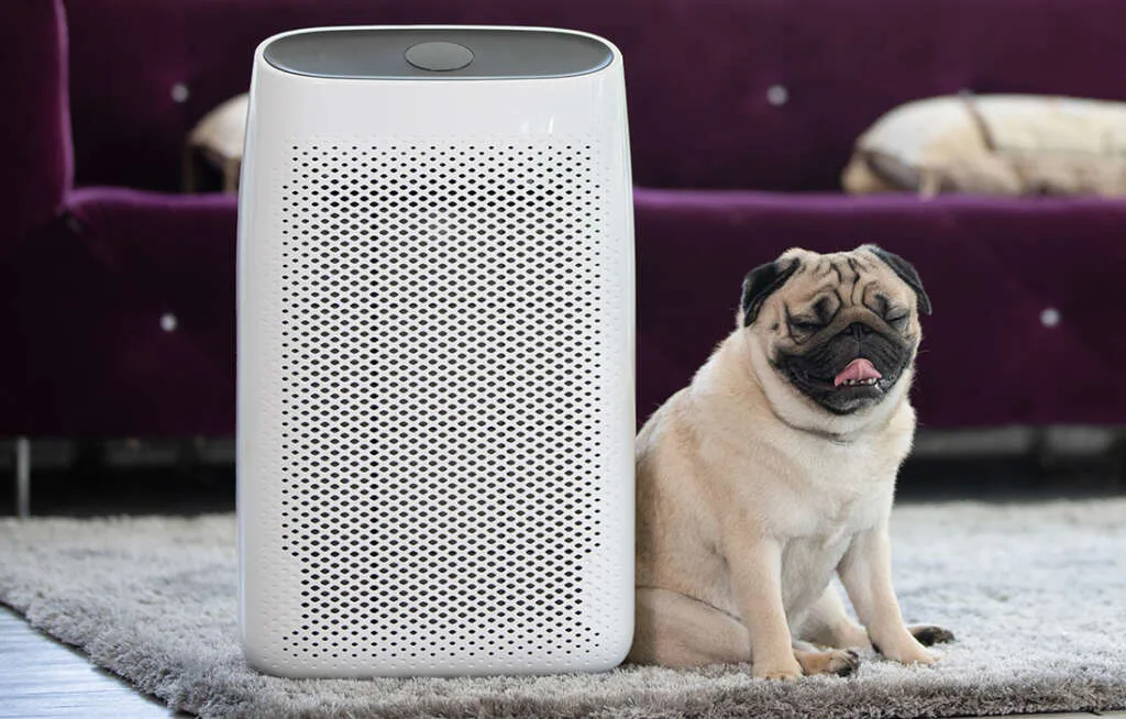 Pug dog sits next to a portable air cleaner 1024x654 1